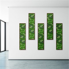 Moss Art